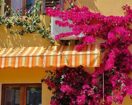 Appartamento In The Heart Of Tuscany Monsummano Terme Exterior foto